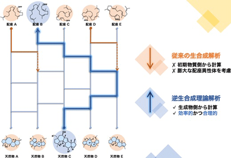 研究業績 | 内山研究室 基礎有機化学教室 東京大学大学院薬学系研究科